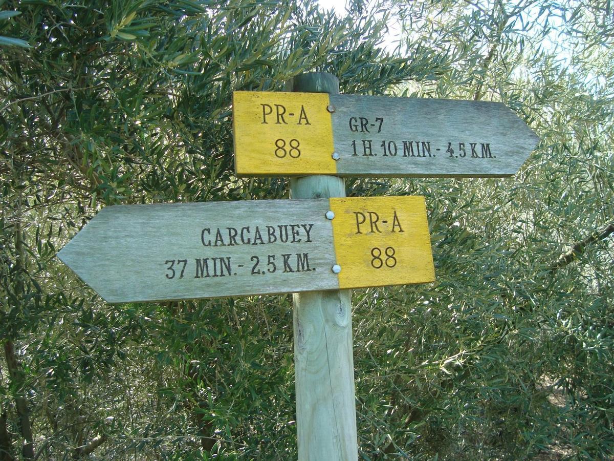 فيلا Casilla Dalea En Carcabuey, Descubre El Interior De Andalucia المظهر الخارجي الصورة